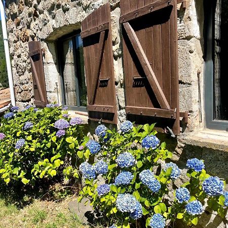 Gite Des Sausses Dans Une Nature Preservee Burzet Zewnętrze zdjęcie