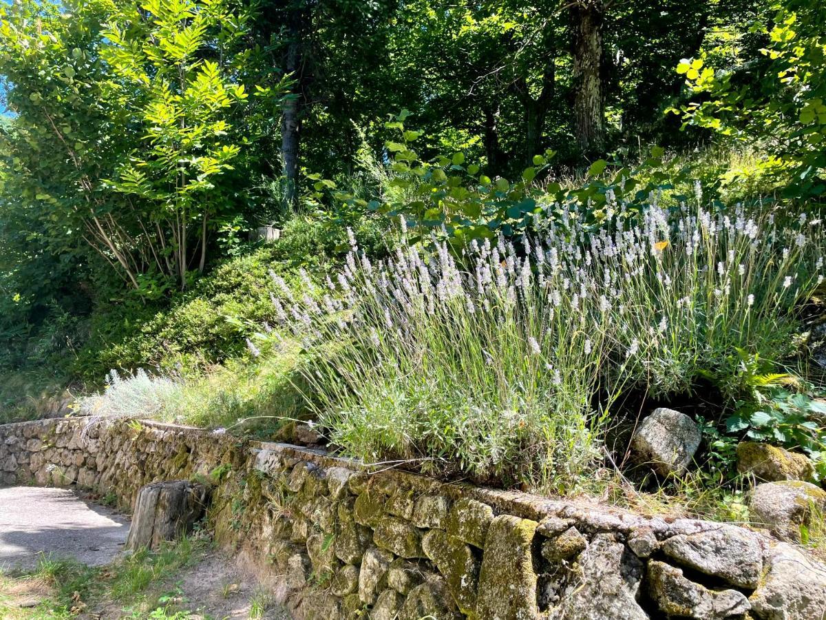 Gite Des Sausses Dans Une Nature Preservee Burzet Zewnętrze zdjęcie